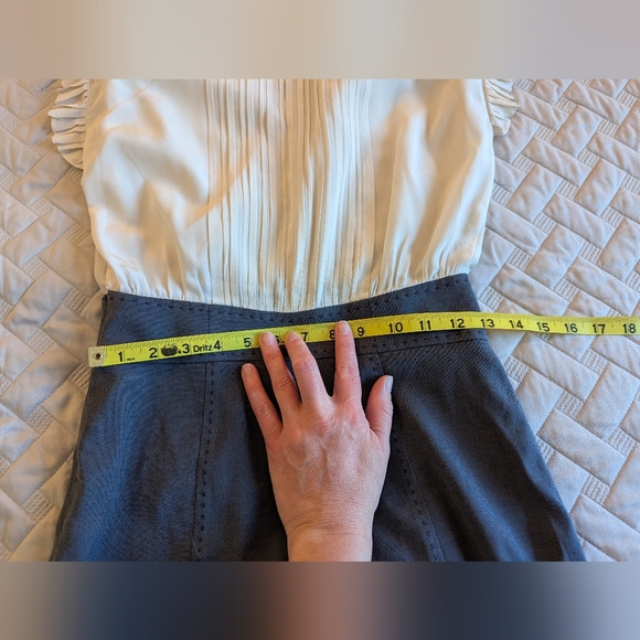 Rebecca Taylor Ivory Lace Victorian Secretary Sheath Career Dress sz 2 - Picture 11 of 16